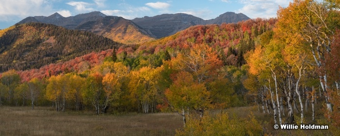 My Meadow Autumn Timpanogos cropped1002221 8119