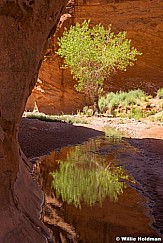 Escalante Choprock Canyon 060516 1325