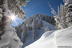boxeldersunburst112610 195