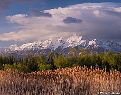 Timpanogos Spring Green 041715 6x7