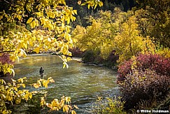 Fly Fishing Provo 101216 3772 4