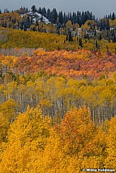 Bonanza Flats Autumn  100523 8863 3