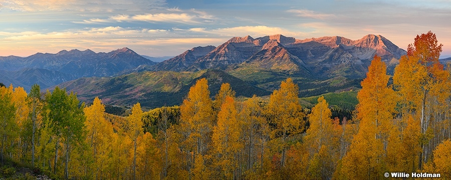 Sunrise Yellow Orange Aspens Pan 100226