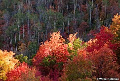 Bright Autumn Colors091611