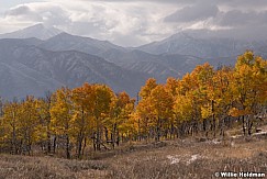 Dreamy Orange Aspens 101418 0810 3