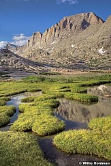 Fremontpeakmarsh081509