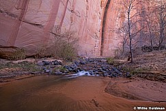 Deer Creek Escalante 040318 9110 2