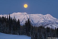 FullGOLDENtimpmoon031109F 12580