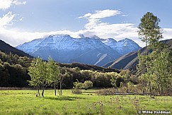 South Fork Timp Spring Greens 051218 0501