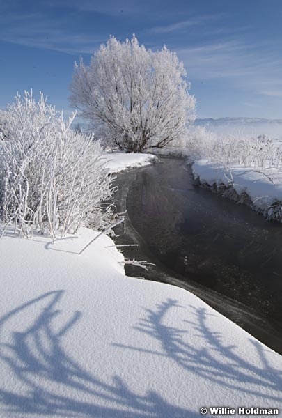 Northfieldcreek022009 12027