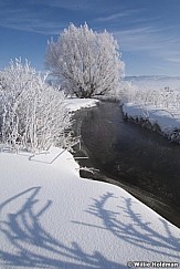 Northfieldcreek022009 12027