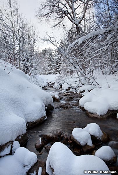 Winter Creek Sundance 030112f 37