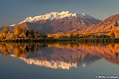 timpreflection110110