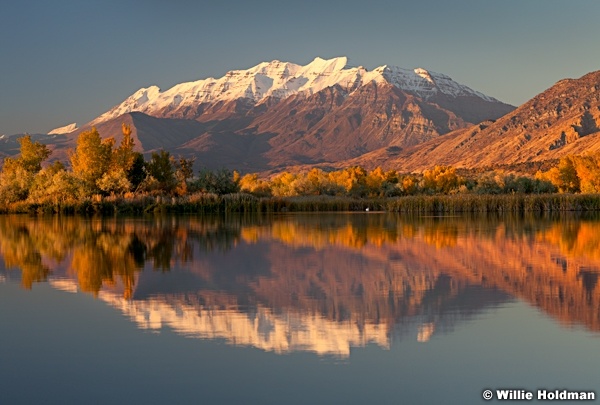 timpreflection110110