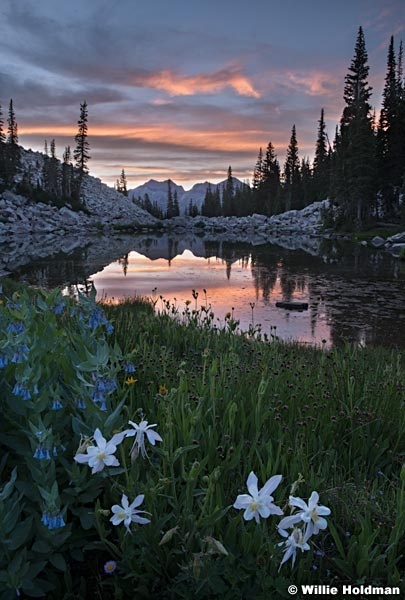 Maybird Sunset Wasatch 071618 2385 3