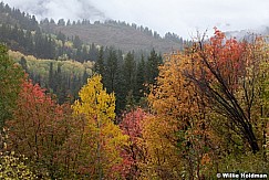 Colors Fall Loop 092512 34