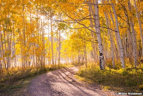 Aspen Road 091914 2