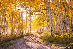 Aspen Road 091914 2