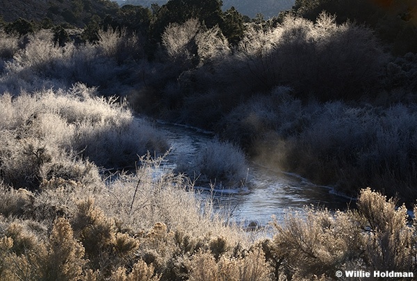 Icy Branches Fremont River 011126 2654