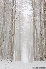 Aspensinfogsnow100711 282