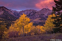 Timpanogos Sunrise Aspens Pink 101414 2