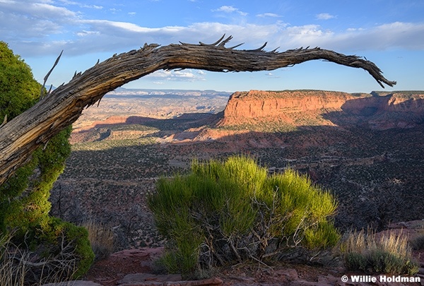 Canyonlands Butte 052326 8944