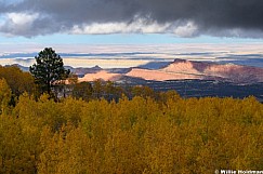 Boulder Mountain Aspens Red Rock 092826 8760