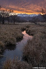 Meandering Sunset Stream 112020 4046 4
