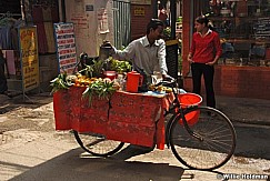 Freshjuice051809 9812