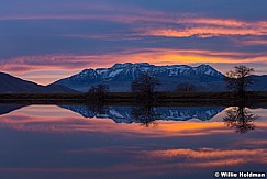 Timpanogos Reflection Sunset 112517