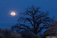 Full Moon Canyonlands 032613 6