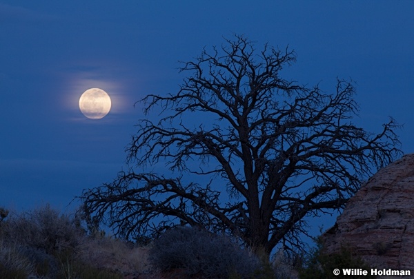 Full Moon Canyonlands 032613 6