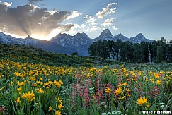 tetons 3815 6 7