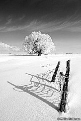 Winterfencelighter022009 2066