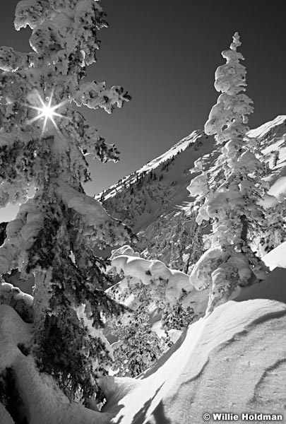 WinterwonderlandBW112510 242