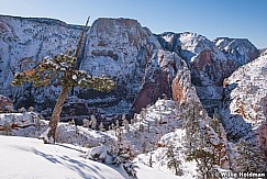 Angels Landing Zion Winter 020719 6781