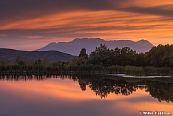 Timp Chidister pond 2016