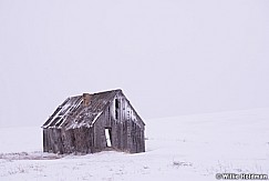 Abandon Winter Home 031714 0408