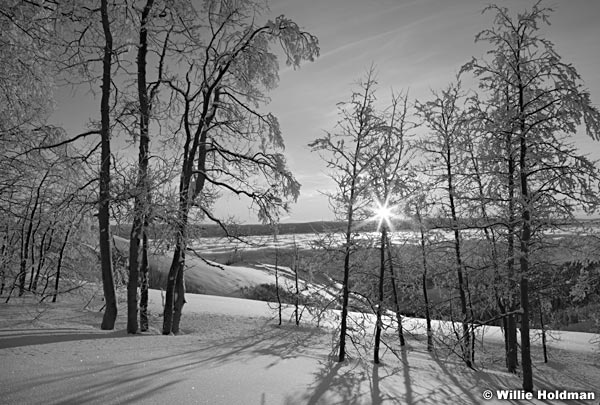 SunburstfrostBW122410 33