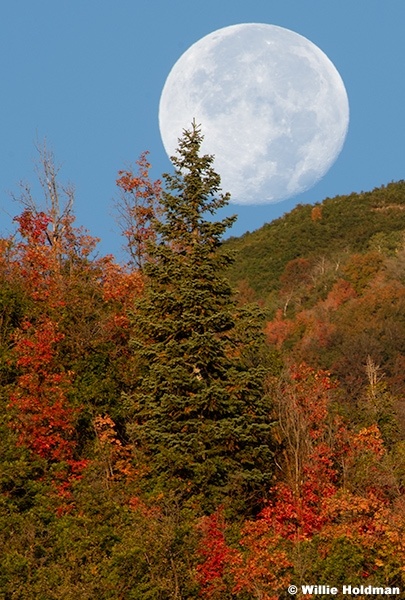 Full Moon Snake Creek 091924