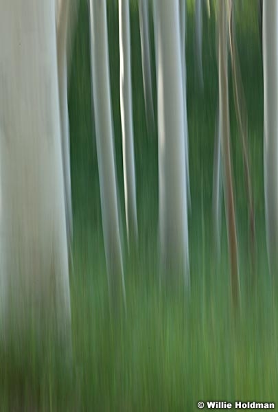 Impressions Aspens 072712 785