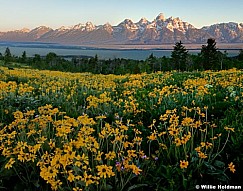 TetondaisiessunriseB