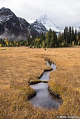 Assiniboine Meadow 092015 0663