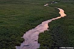 Maroon Stream 060412 39