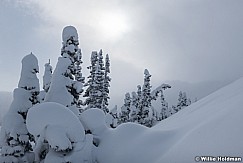 Powder Day Wasatch 111020 1276 4