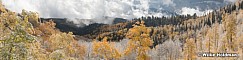 After The Storm Aspens Pano 100921 1752