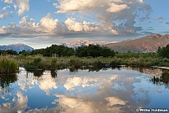 Reflection Pond Timp 08281235mm