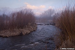 Dreamy Strem Midway 022715 8994