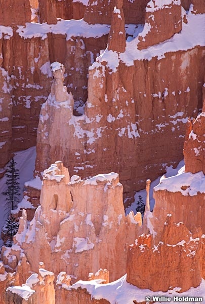 Bryce Canyon Inspiration 121013 3424