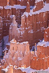 Bryce Canyon Inspiration 121013 3424